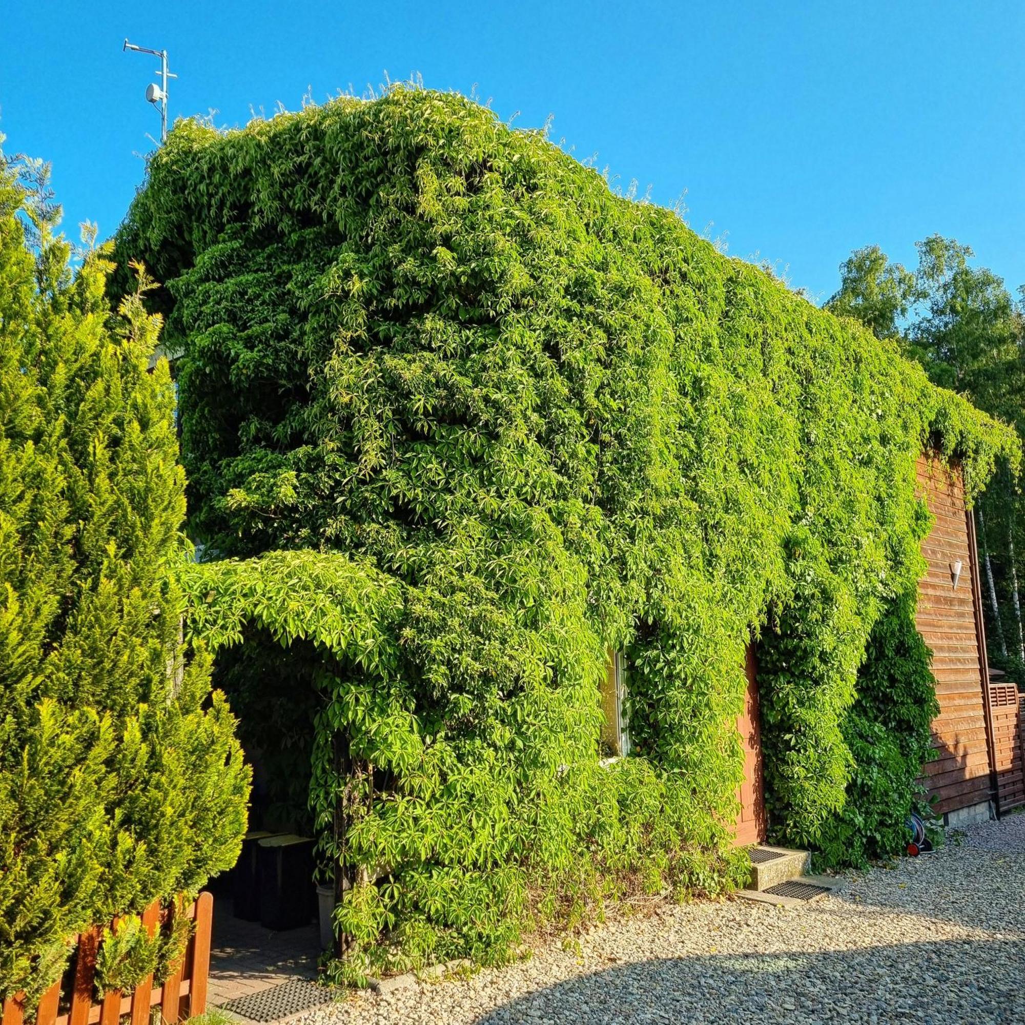 Wakacje Na Wyspie Gdańsk Exterior foto
